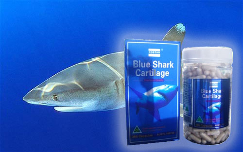 blueshark